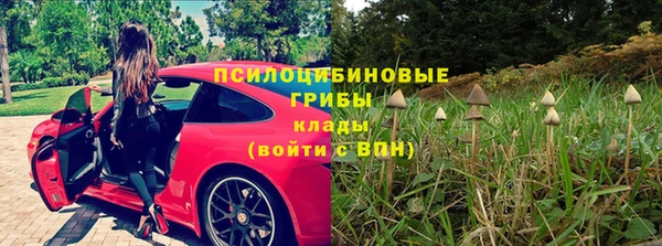каннабис Арсеньев