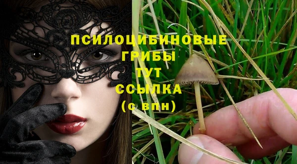 каннабис Арсеньев