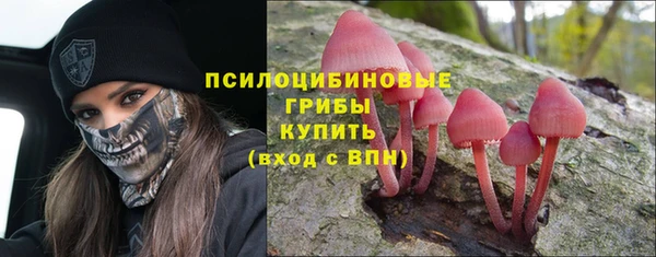 каннабис Арсеньев